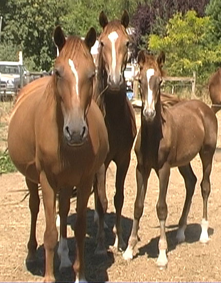 Mindy and daughters