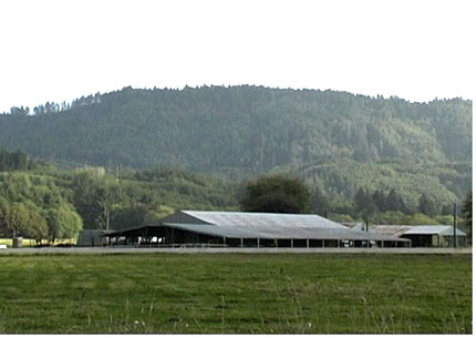Barns at Shallowmyr