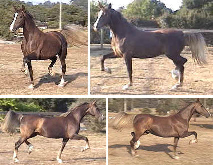 Photos of Tia