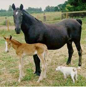 Tia as a newborn with her mother.