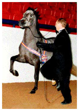 Kriegstreiber